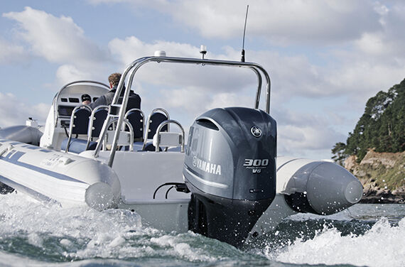 Yamaha F300 NSB (SBW)