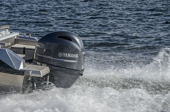 Yamaha F100 LB/XB