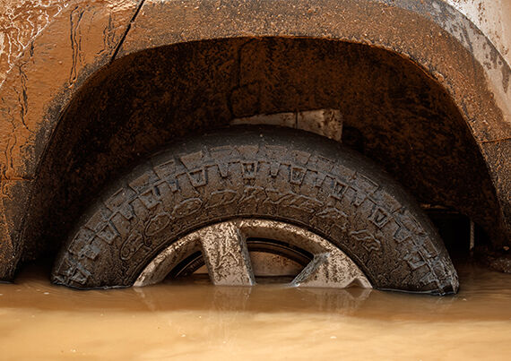 ДОВГОВІЧНІСТЬ