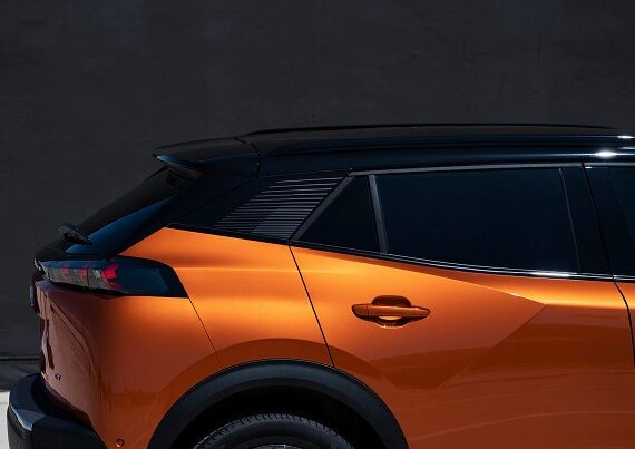 Зовнішній вигляд