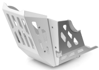 Захист двигуна (пластина)