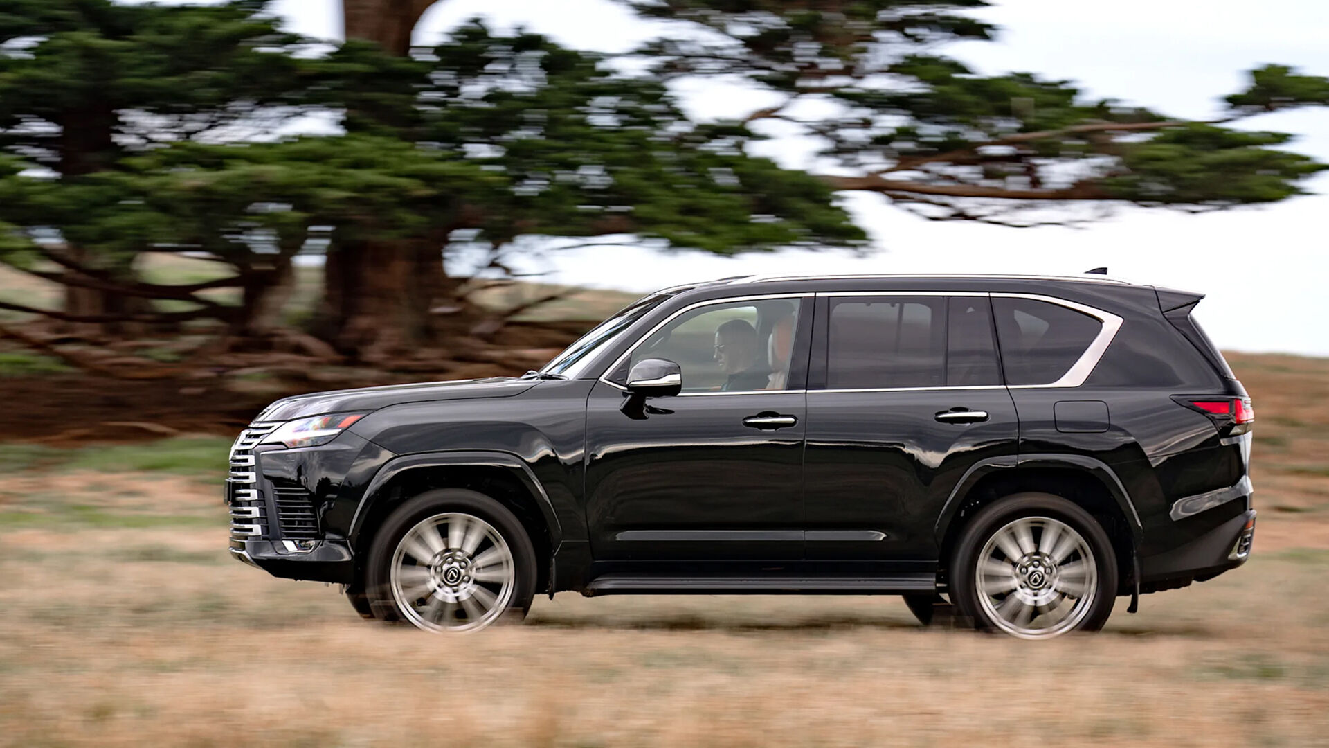 Зовнішній вигляд