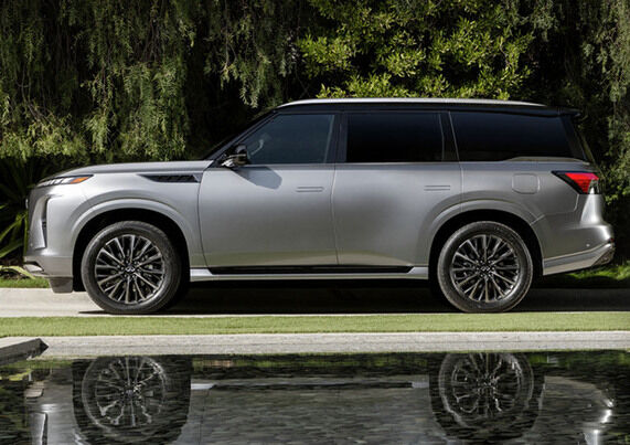 Витончена динаміка в русі