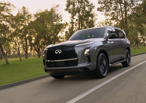 Бездоганна динаміка