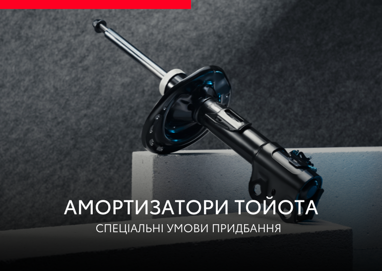 770_545 Амортизатори.png
