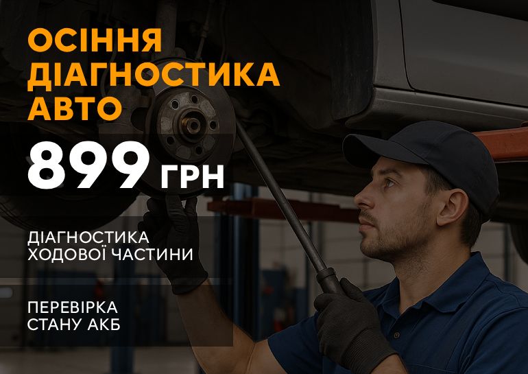citroen_osinnia-diahnostyka-avto-899grn_770x545.jpg